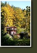 Podzimní pohled na chatu s terasou od Jestřábího potoka